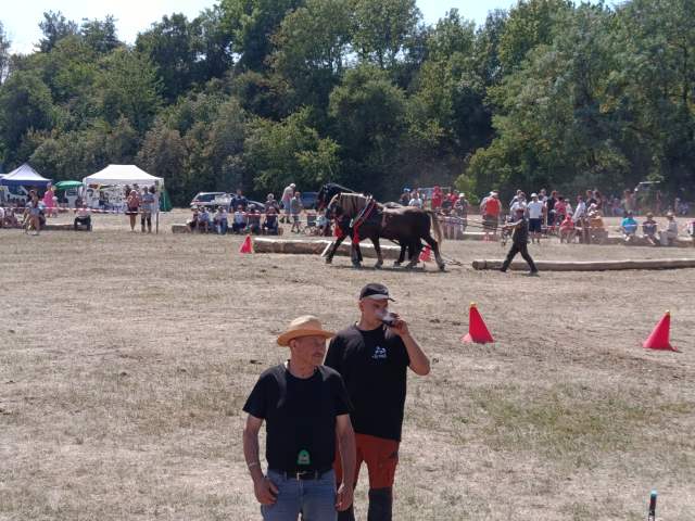IMG_20260808_135850